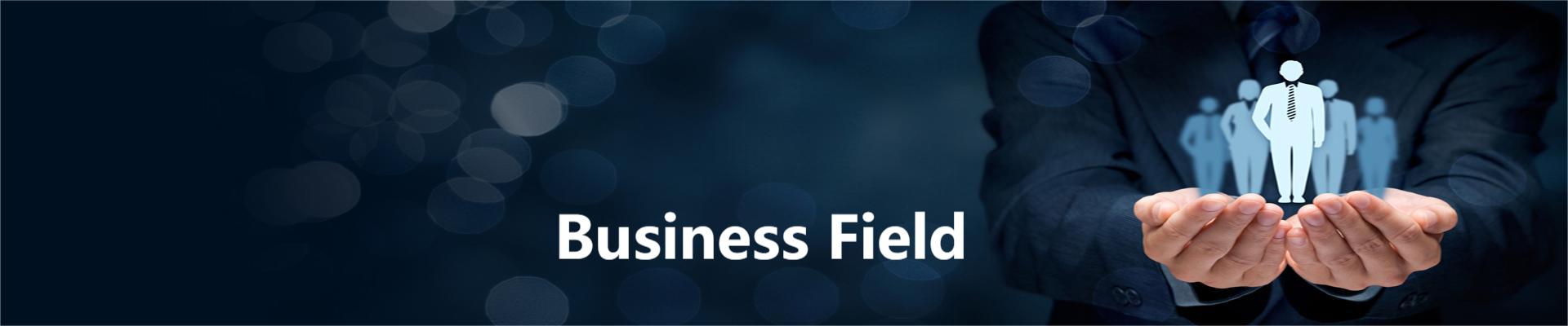 Business Field